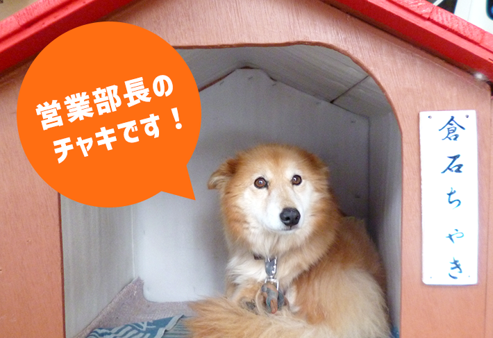 営業部長のチャキです!